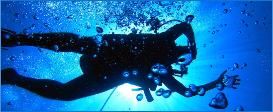 Diver