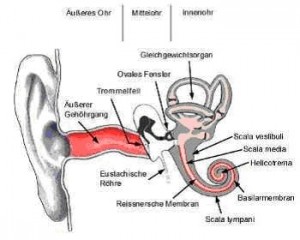 Barotraumabild